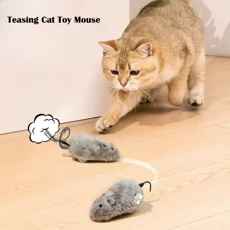 Interactive Squeaky Plush Dog Toy - 1-5 peças de brinquedos para gatos,