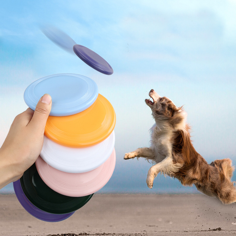 Flying Disc Dog Training Toy - Disco voador engraçado para o cão,