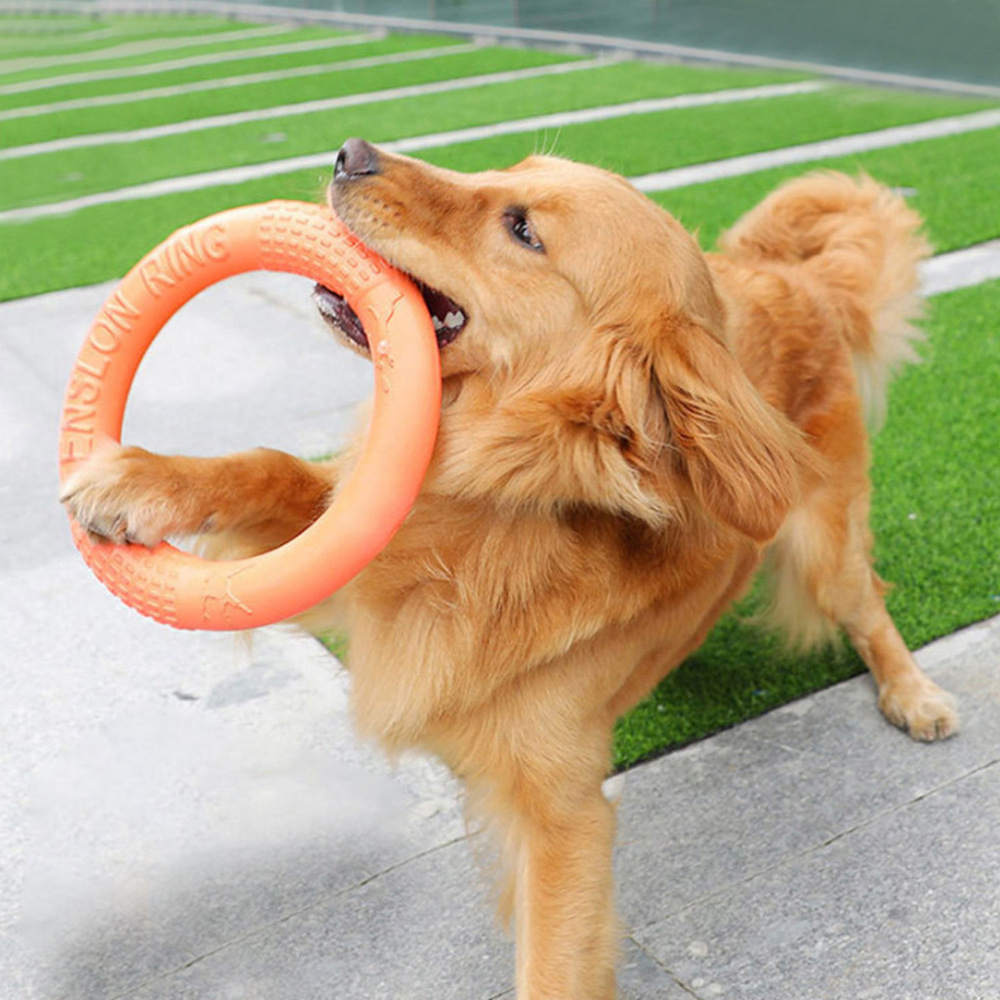 Laranja voando disco formação  - Suction Cup Dog Tug Toy avaliação e preço