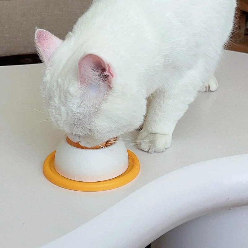 Tigela de Alimentação Lenta pa - Dog Puzzle Feeder Toy avaliação e preço