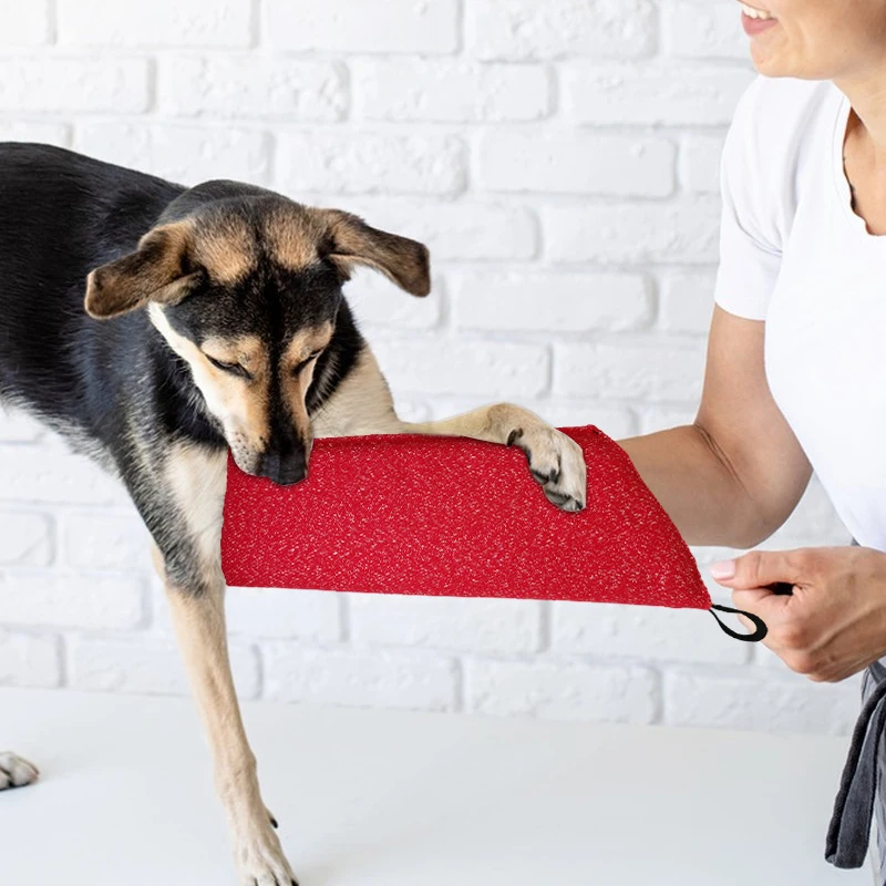 Mangas de treinamento para cãe - Interactive Squeaky Plush Dog Toy avaliação e preço