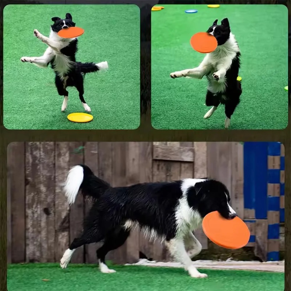 Disco Voador para Cães em TPR, - Flying Disc Dog Training Toy avaliação e preço