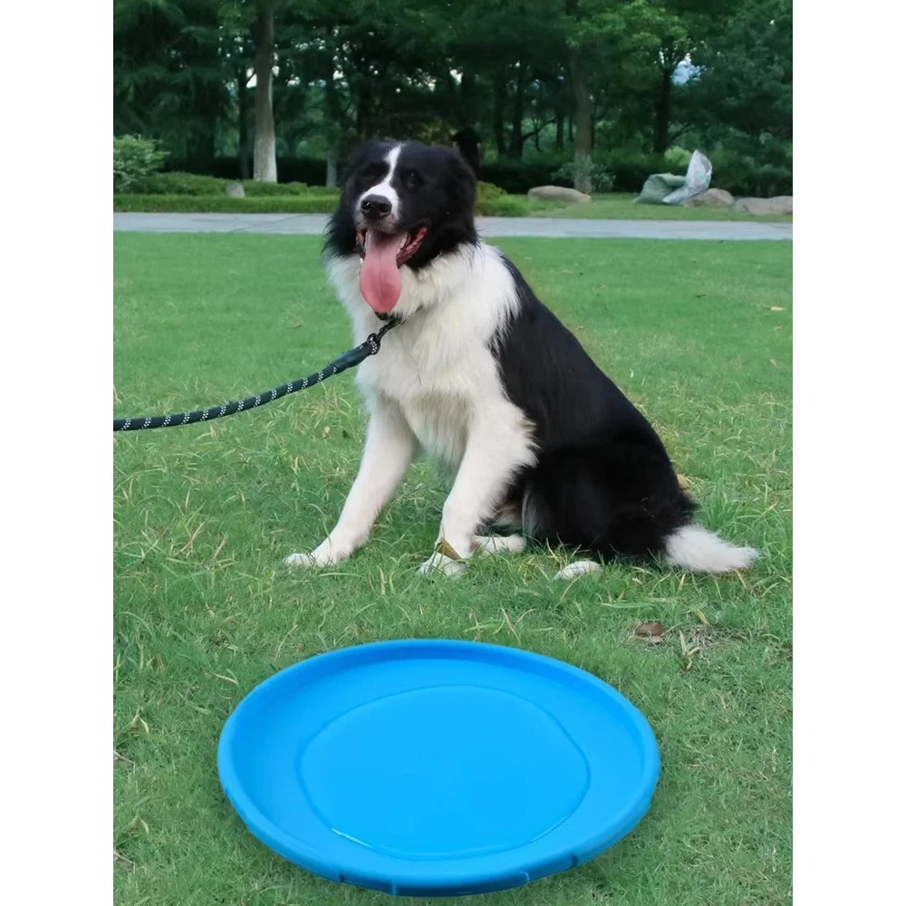 Disco Voador para Cães em TPR, - Flying Disc Dog Training Toy avaliação e preço