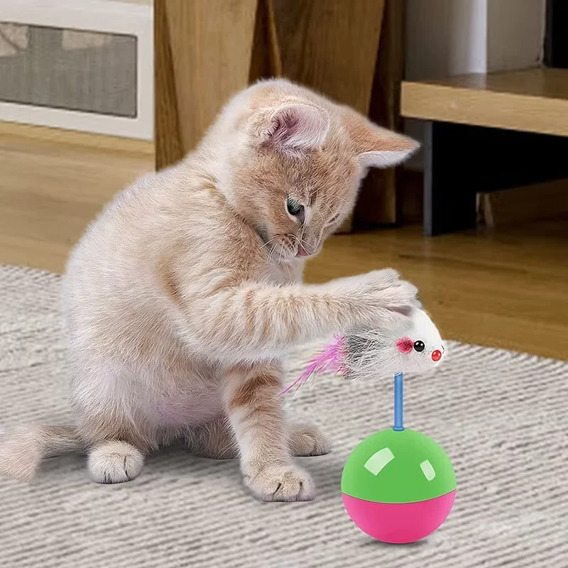 Bola Interativa para Gatos em  - Interactive Squeaky Plush Dog Toy avaliação e preço
