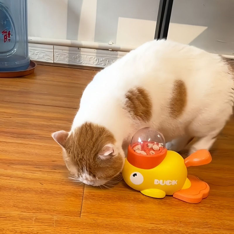 Brinquedo Interativo para Gato - Dog Puzzle Feeder Toy avaliação e preço
