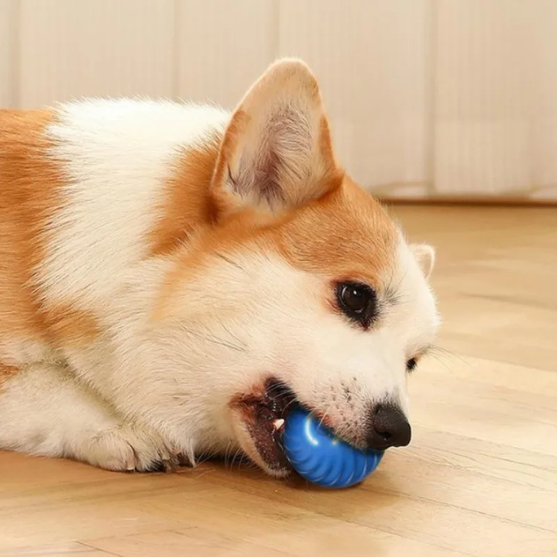 Bola de Brinquedo para Cães SS - Automatic Moving Dog Ball avaliação e preço