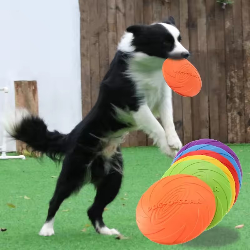 Brinquedo Interativo de Silico - Flying Disc Dog Training Toy avaliação e preço