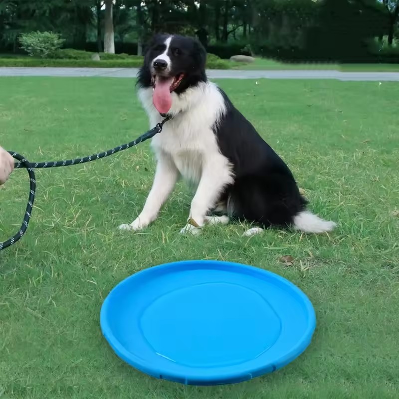 Brinquedo Interativo de Silico - Flying Disc Dog Training Toy avaliação e preço