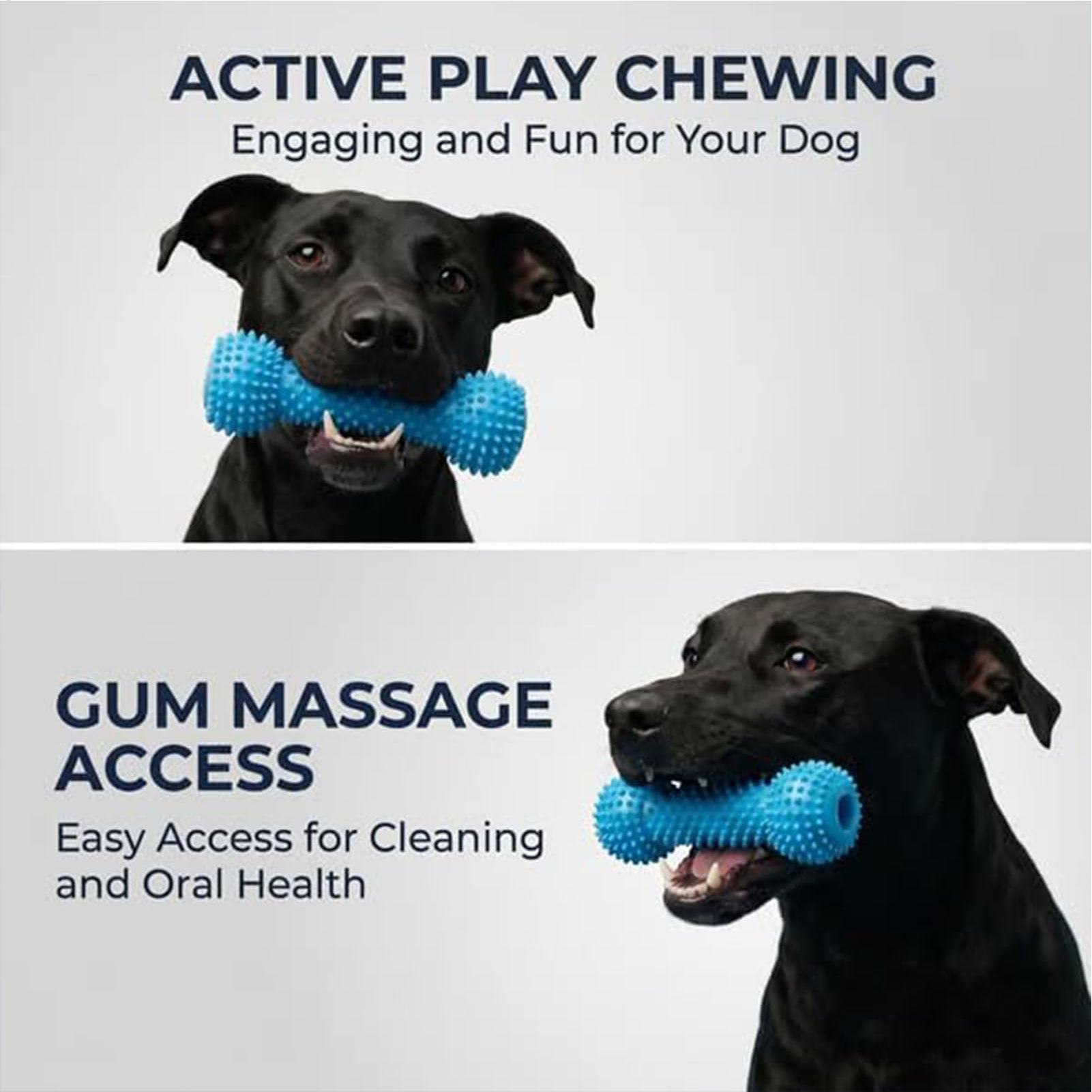 Brinquedos para Cães: Bastões  - Rubber Treat Dispensing Dog Toy avaliação e preço