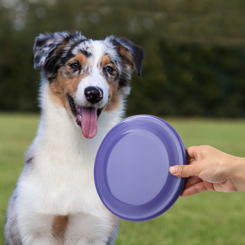 Disco voador engraçado para o  - Flying Disc Dog Training Toy avaliação e preço
