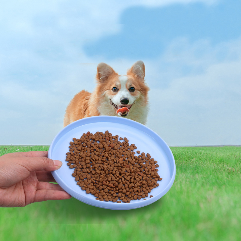 Disco voador engraçado para o  - Flying Disc Dog Training Toy avaliação e preço