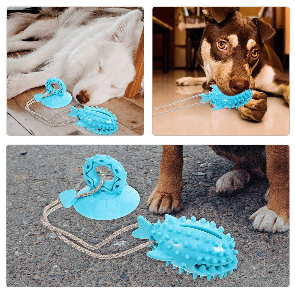 2 unidades de brinquedo intera - Suction Cup Dog Tug Toy avaliação e preço